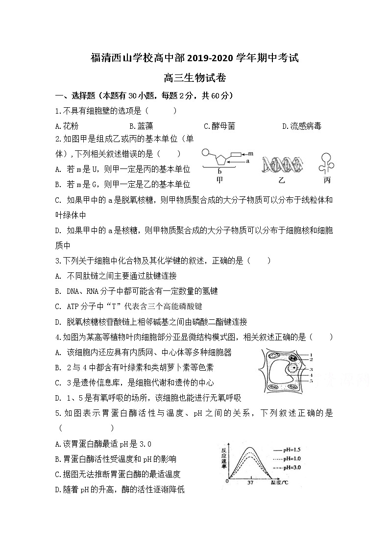 2020福建省福清西山学校高中部高三上学期期中考试生物试题含答案01