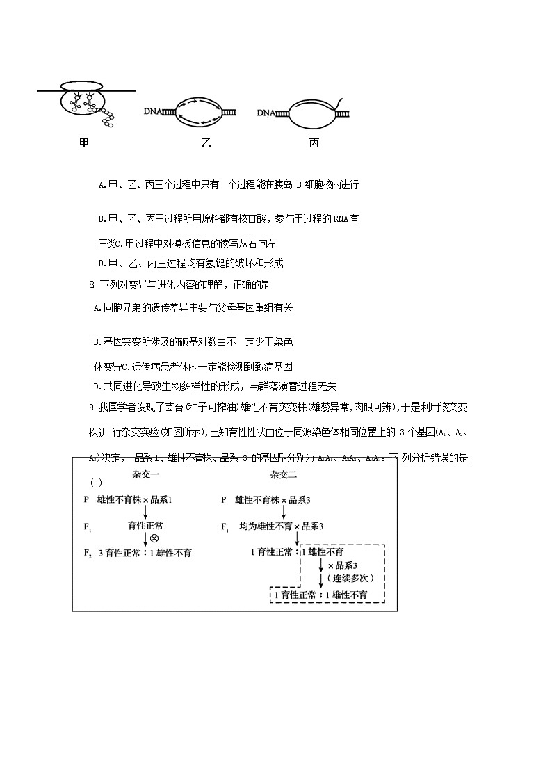 2020日照一中高三上学期期中考试生物试题含答案03