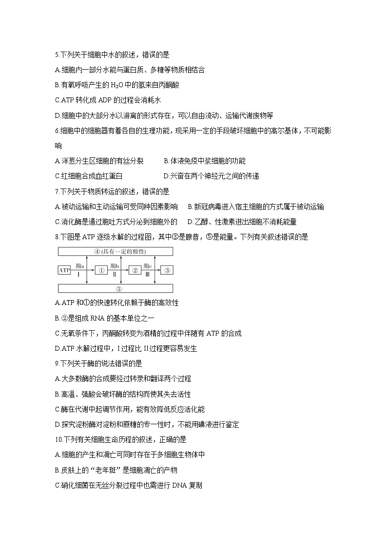 2021湖南省五市十校教研教改共同体高三10月大联考试题生物含解析第2页
