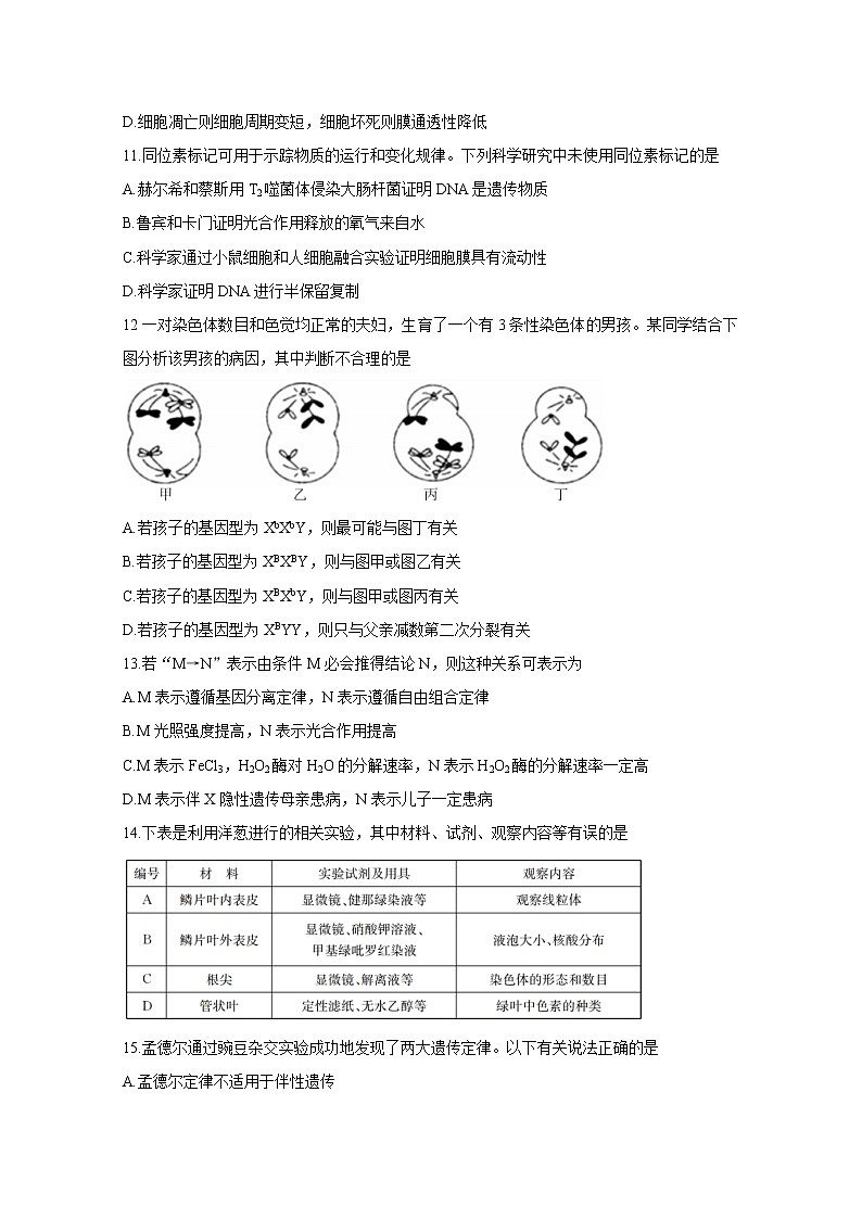 2021湖南省五市十校教研教改共同体高三10月大联考试题生物含解析第3页