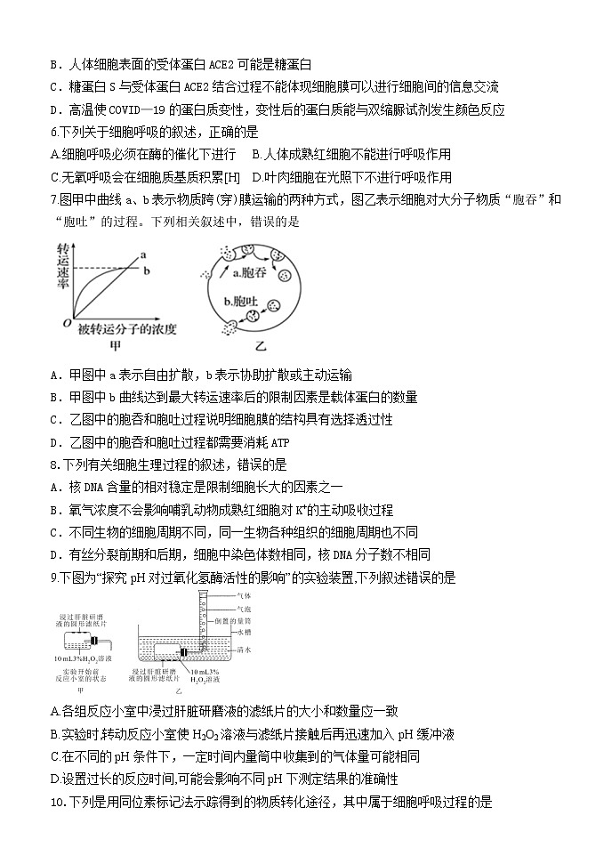 2021赤峰二中高三上学期第二次月考生物试题含答案第2页