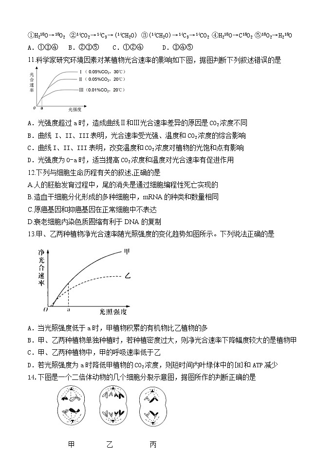 2021赤峰二中高三上学期第二次月考生物试题含答案第3页