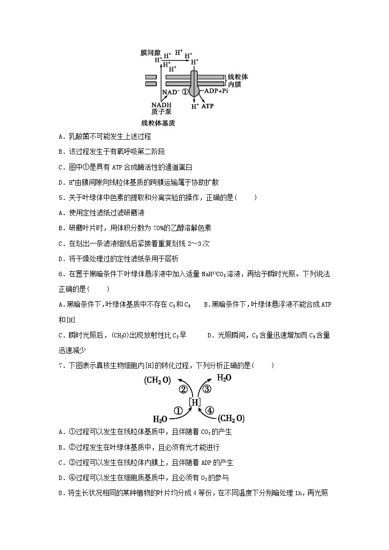 2021省大庆铁人中学高三上学期期中考试生物试题含答案02