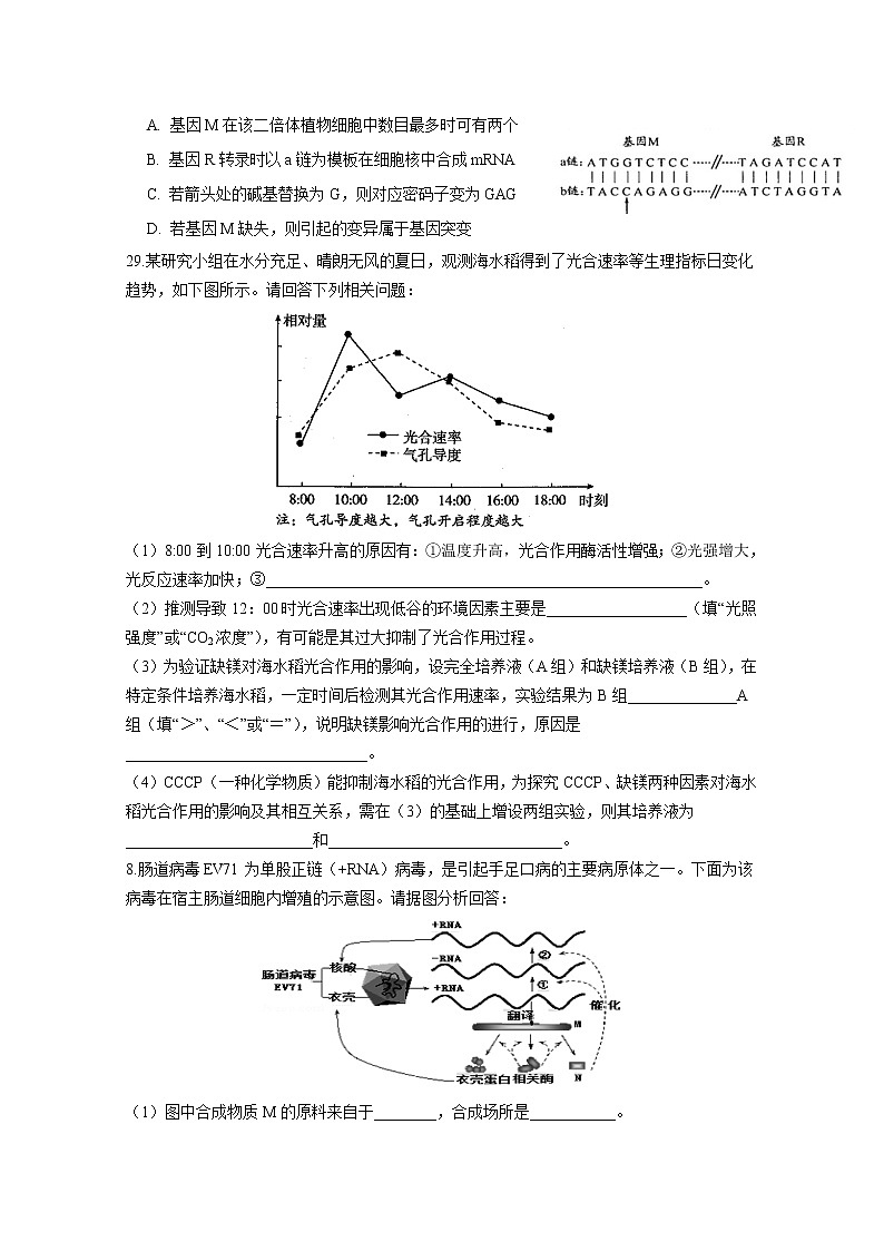 2021四川省威远中学高三（补习班）上学期第一次月考理综-生物试题含答案02