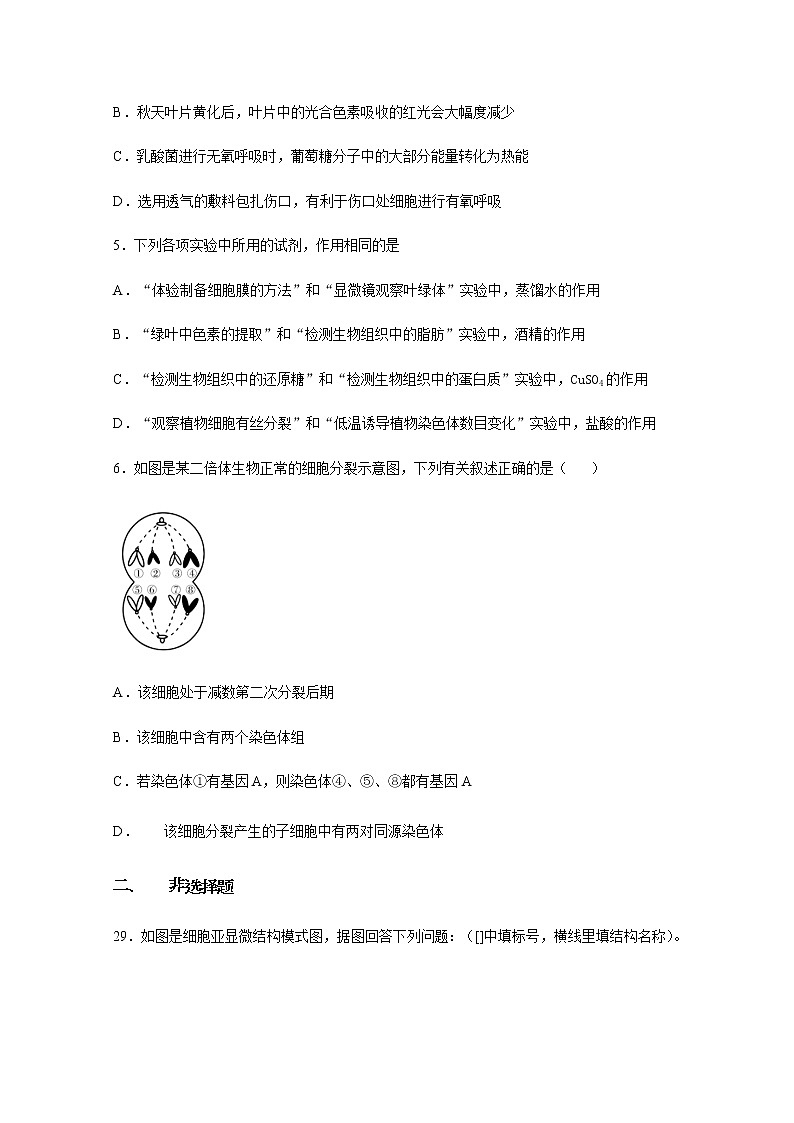 2021南充白塔中学高三上学期第二次月考生物试题含答案02