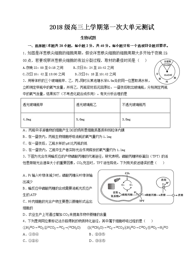 山东省新泰市第一中学北校区2021届高三上学期第一次月考生物试题第1页