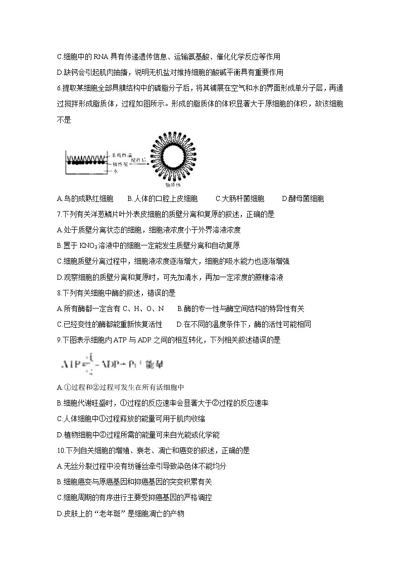 2021郑州示范性高中高三阶段性考试（三）生物含答案第2页