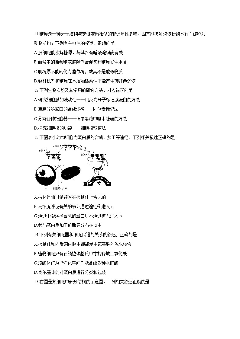 2021郑州示范性高中高三阶段性考试（三）生物含答案第3页