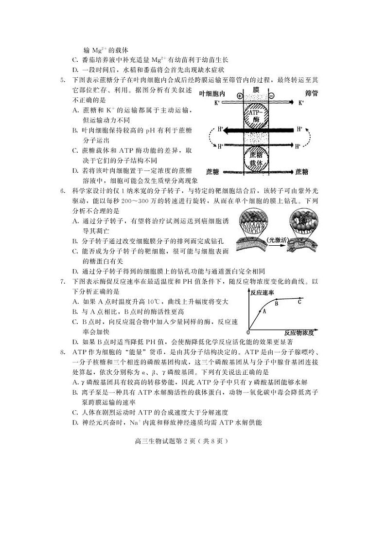 山东省潍坊高密市等三县市2021届高三10月过程性检测生物试题（可编辑PDF版）第2页