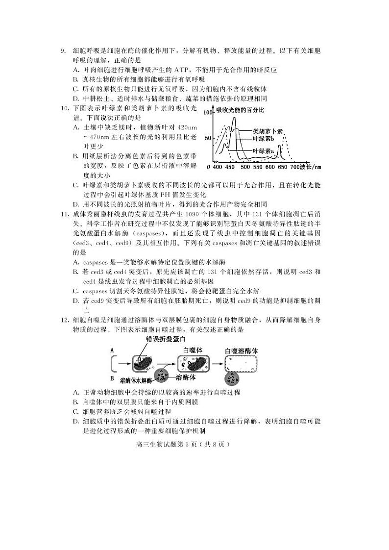 山东省潍坊高密市等三县市2021届高三10月过程性检测生物试题（可编辑PDF版）第3页