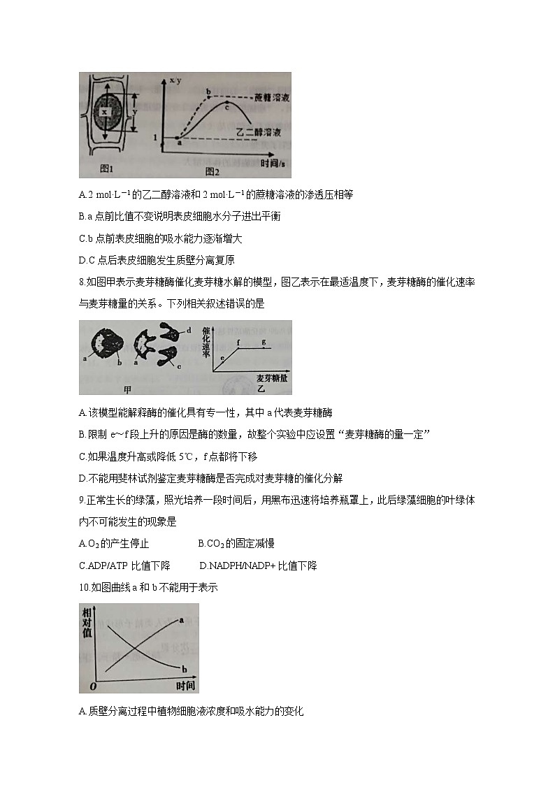 2021锦州渤大附中、育明高中高三上学期第二次月考试题生物含答案03