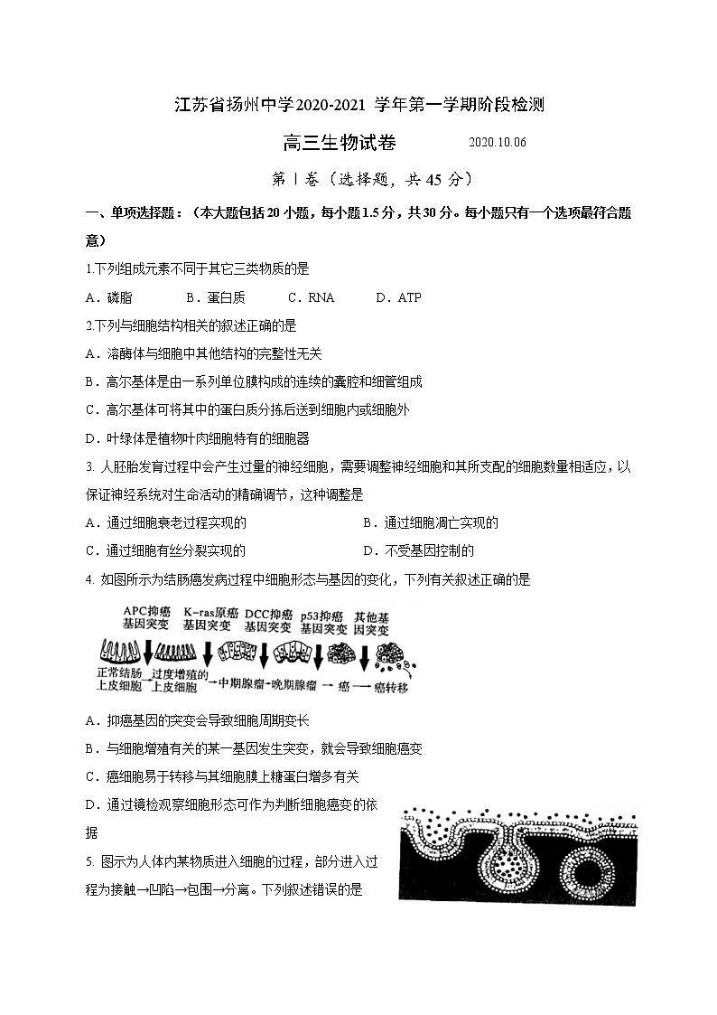 2021扬州中学高三10月月考生物试题含答案第1页