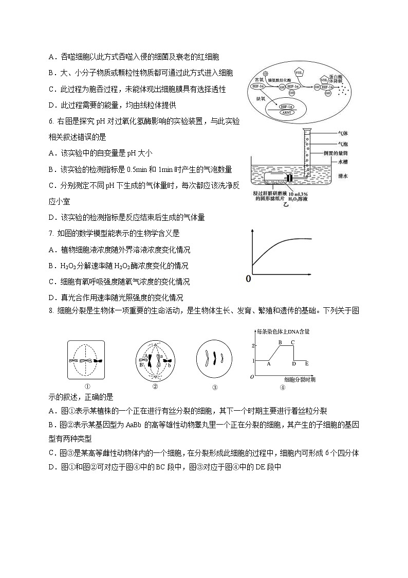 2021扬州中学高三10月月考生物试题含答案第2页