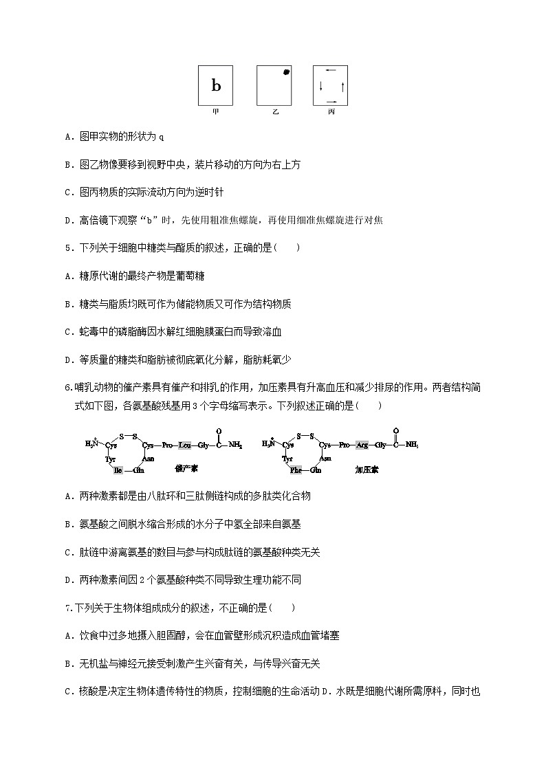 2021天水甘谷县四中高三上学期第二次检测生物试题含答案第2页