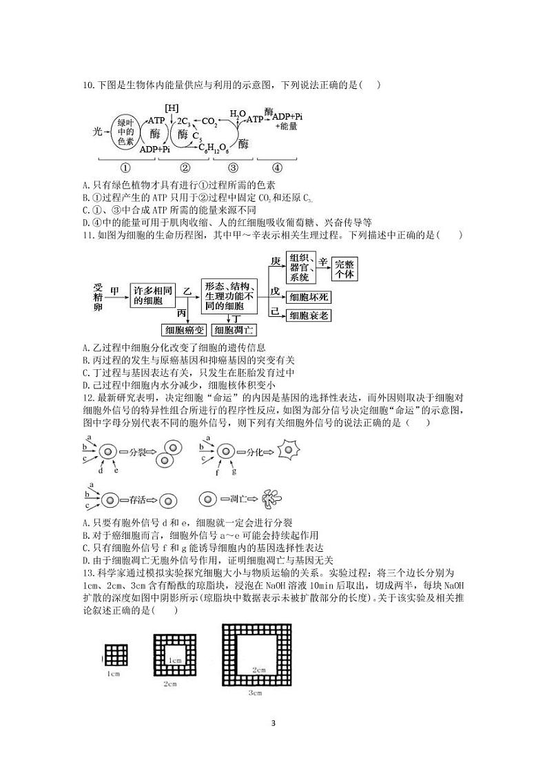 思南中学2020—2021学年度高三生物第二次月考生物试题第3页