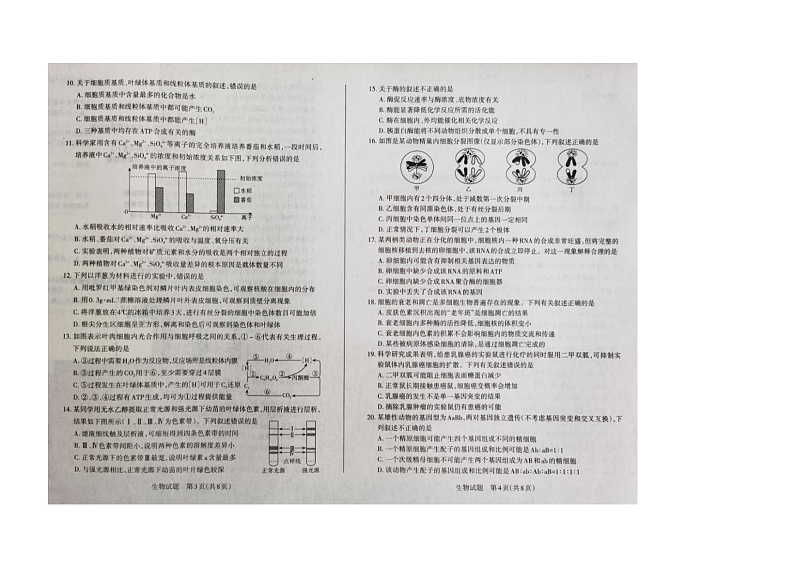山西省2021届高三阶段性测试生物试卷（扫描版）第2页