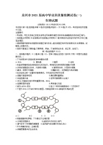 2021泉州高三毕业班质量监测（一）生物试卷含答案