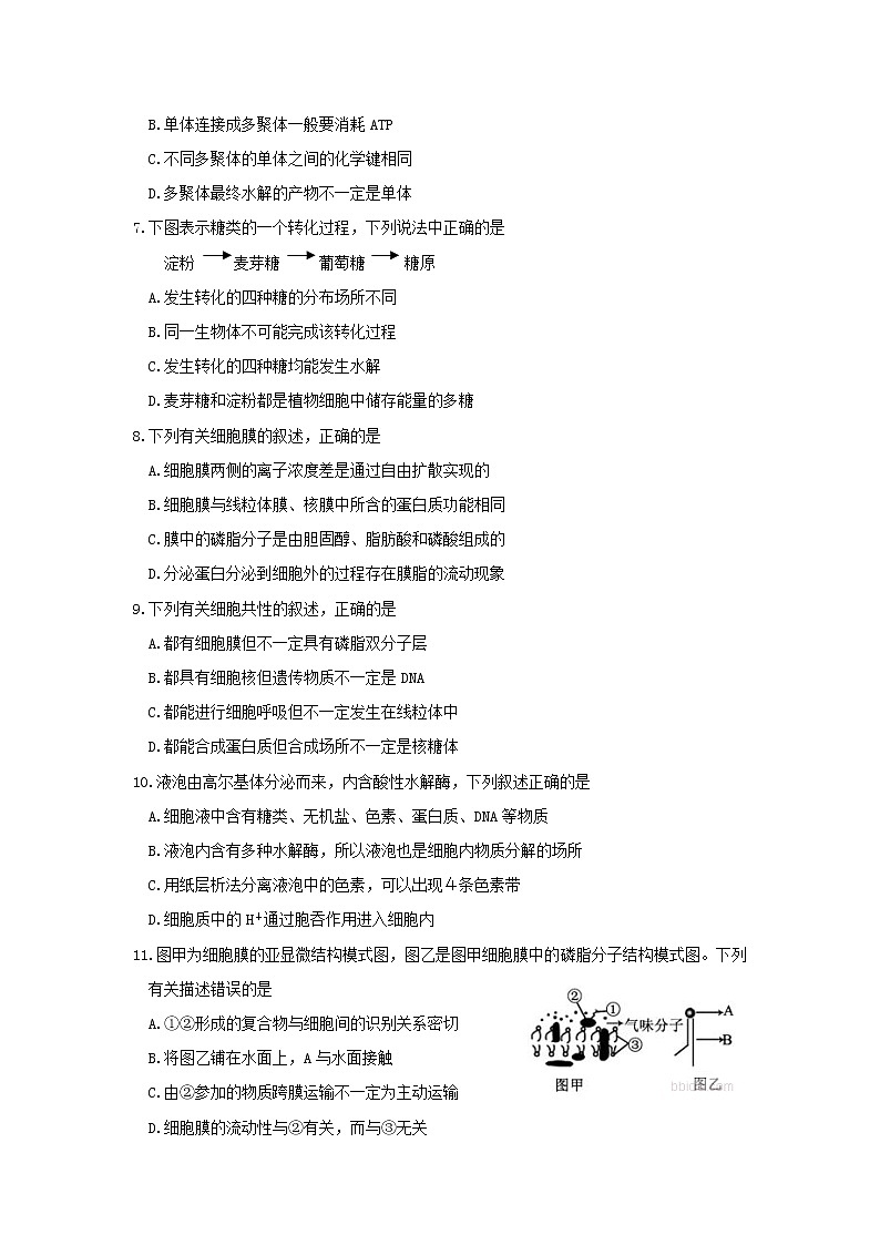 2021白城洮南一中高三上学期第一次月考生物试卷含答案第2页