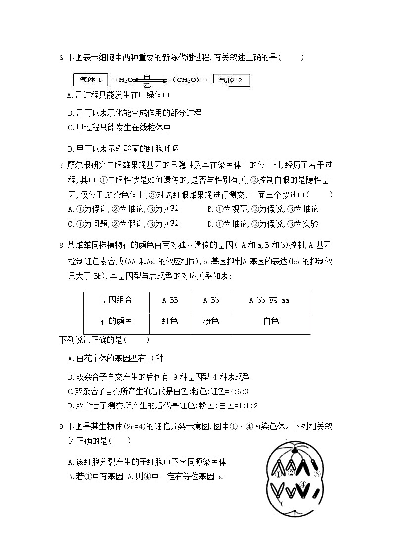 内蒙古赤峰市宁城县2021届高三9月摸底考试生物试题第3页