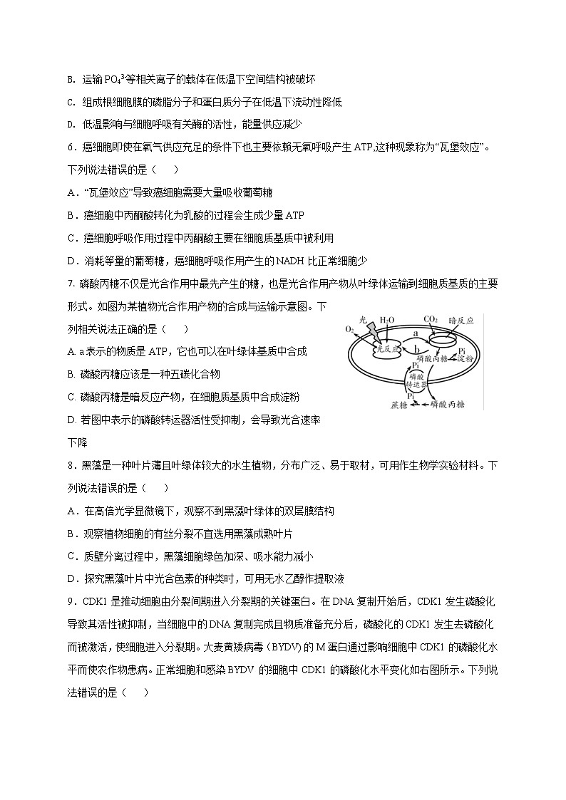 2021淮安淮海中学高三上学期第一次调研测试生物试题含答案第2页