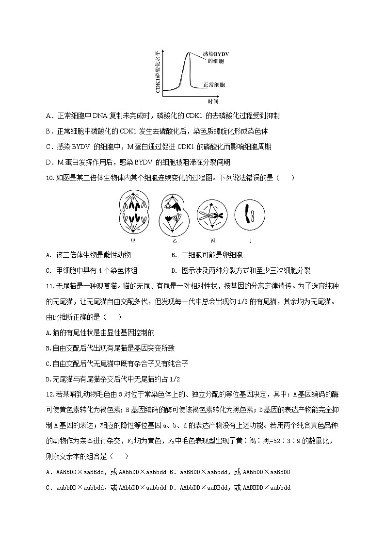 2021淮安淮海中学高三上学期第一次调研测试生物试题含答案第3页