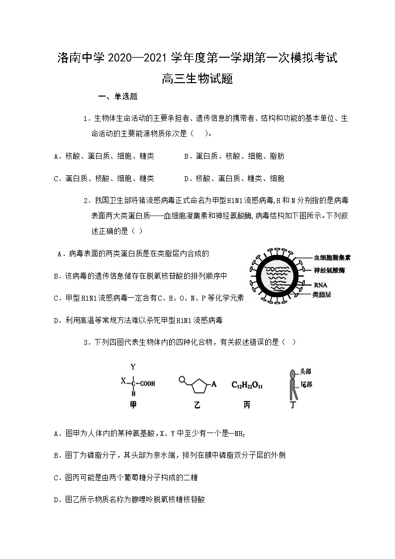 2021陕西省洛南中学高三上学期第一次模拟生物试题含答案01