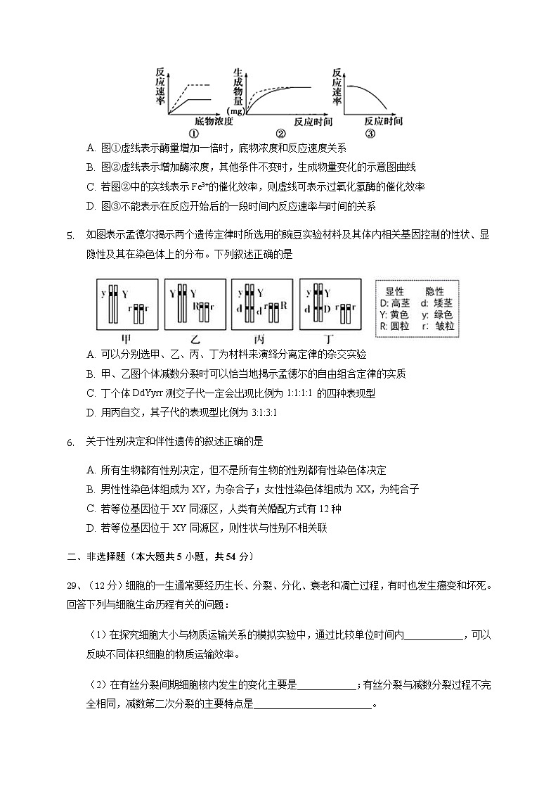 2021成都新都一中高三9月月考理综-生物试题含答案02