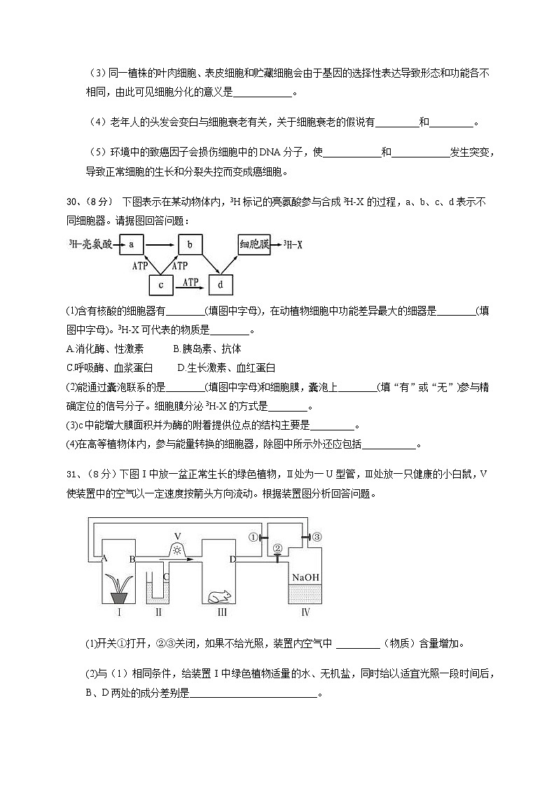 2021成都新都一中高三9月月考理综-生物试题含答案03