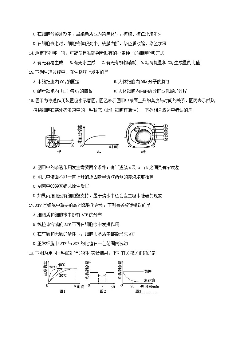 2021白城通榆县一中高三上学期第一次月考生物试题含答案第3页
