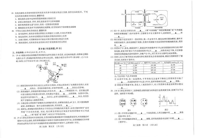 2021苏州四五区高三上学期期初调研生物试题扫描版含答案03