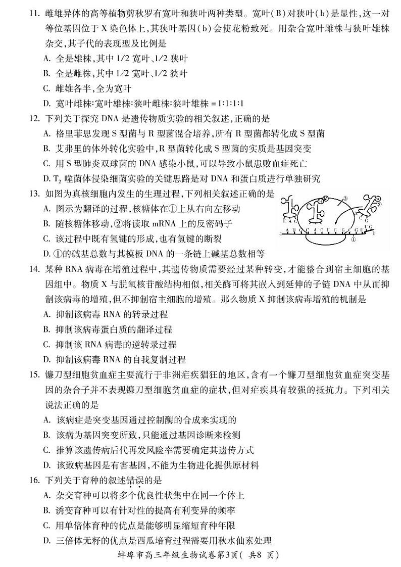 2021蚌埠高三上学期第一次质量监测（一模）生物试题图片版含答案03