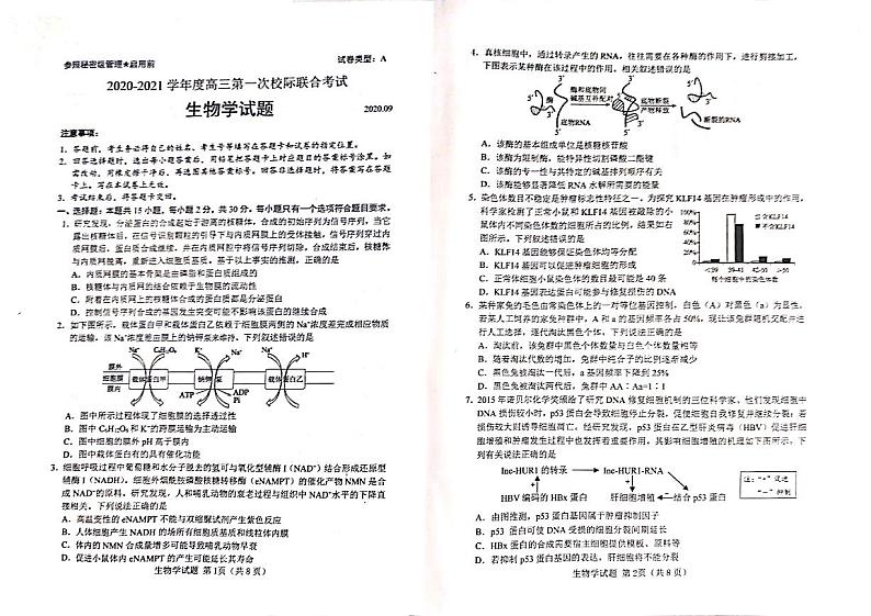 2021日照高三9月校际联考生物试题扫描版含答案01