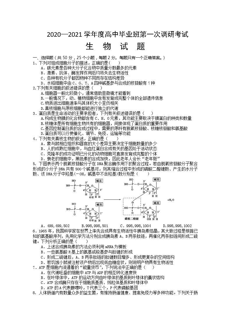 2021信阳罗山县高三第一次调研（8月联考）生物试题含答案第1页