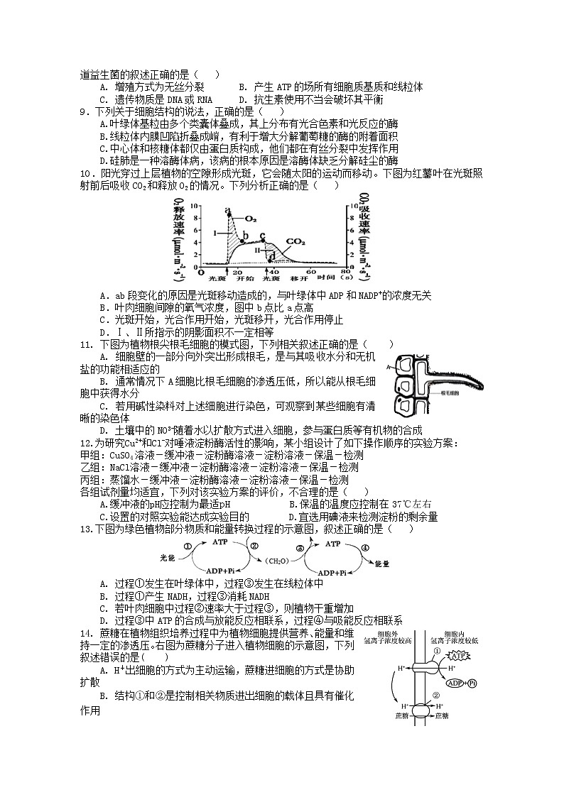 2021信阳罗山县高三第一次调研（8月联考）生物试题含答案第2页