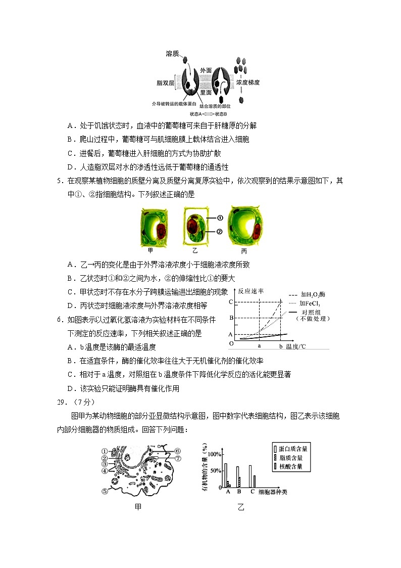 2021回族自治区银川一中高三上学期第一次月考理综-生物试题含答案02