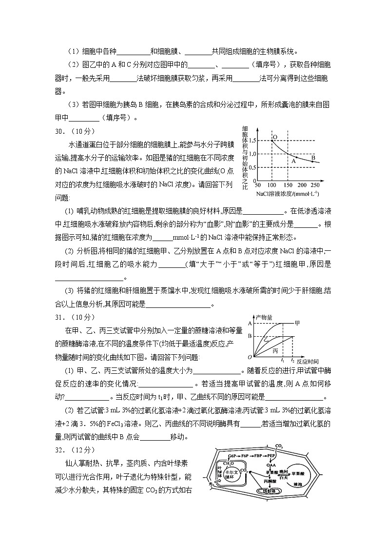 2021回族自治区银川一中高三上学期第一次月考理综-生物试题含答案03