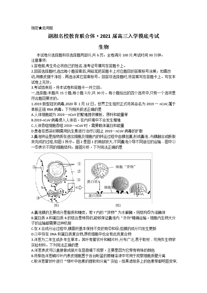 2021湖南省湖湘名校教育联合体高三入学考试生物试题含答案01