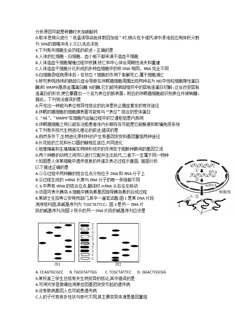 2021湖南省湖湘名校教育联合体高三入学考试生物试题含答案02