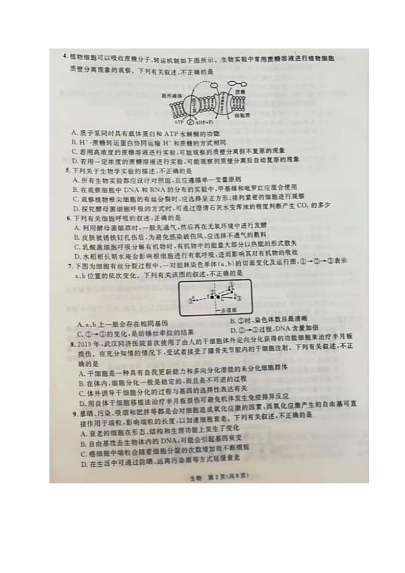 2021江西省名校高三上学期第一次联考生物试题图片版含答案第2页