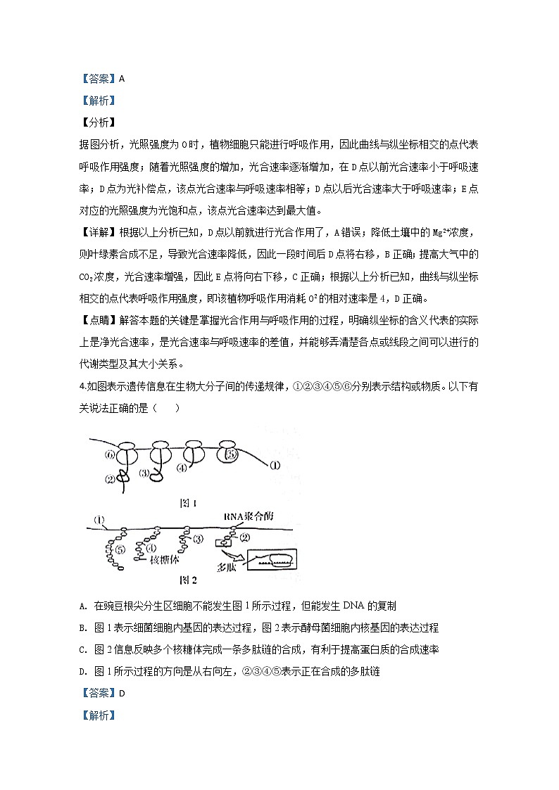 2020【KS5U解析】中卫高三第三次模拟生物试题含解析03