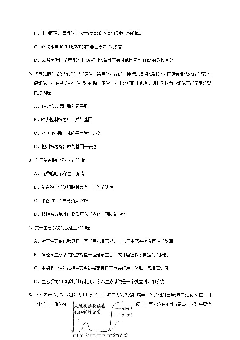 宁夏六盘山高级中学2020届高三第四次模拟测试理科综合-生物试题 Word版含答案第2页