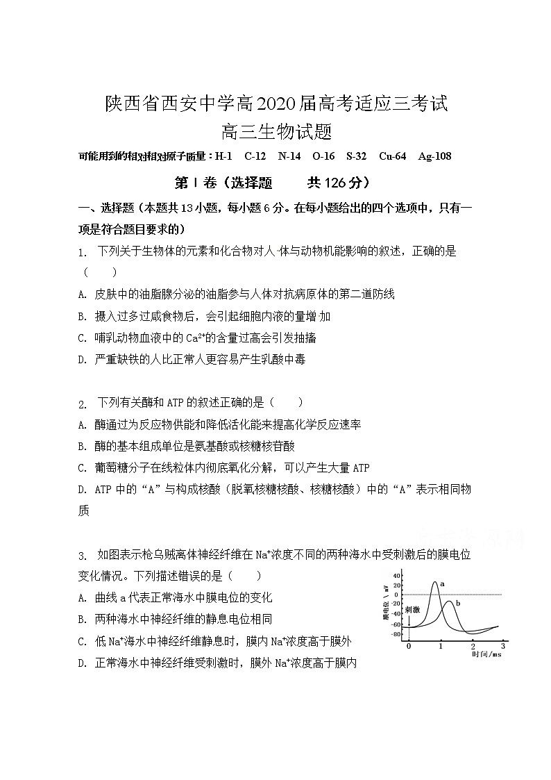 2020西安中学高三适应性考试（三）生物试题含答案第1页