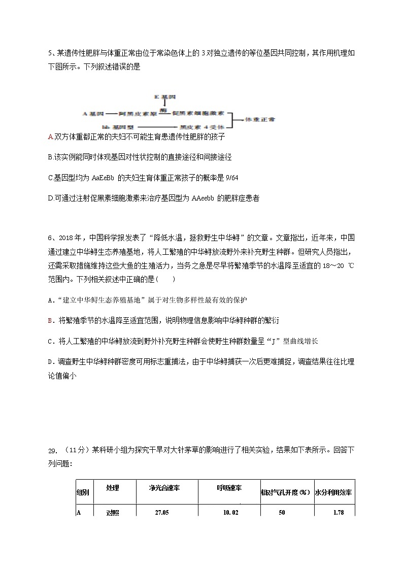 2020四川省仁寿一中南校区高三仿真模拟（二）理综-生物试题含答案第2页