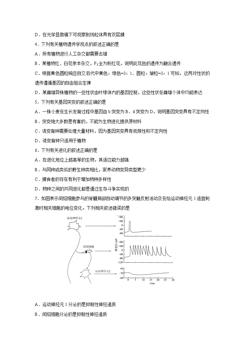 2020泰安高三第五次模拟考试（全国模拟）生物试题含答案02