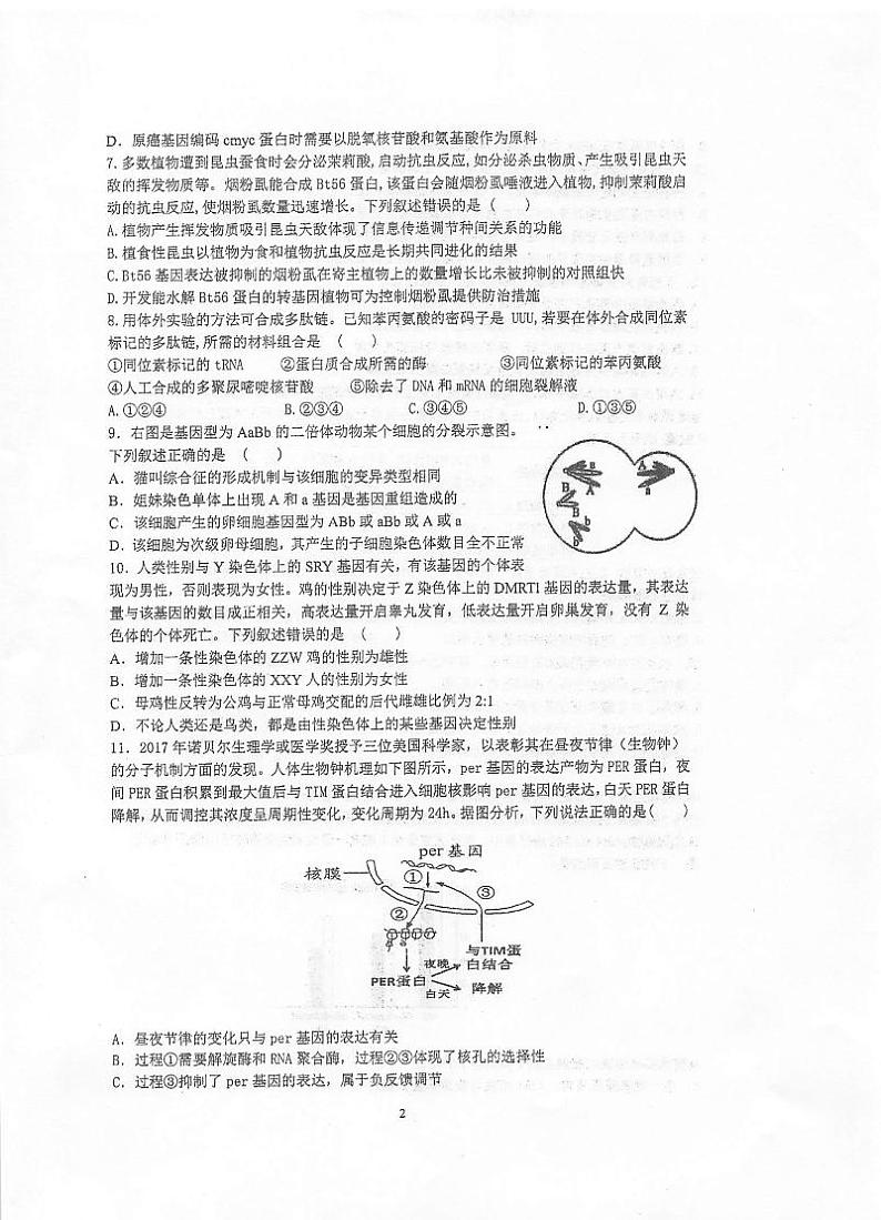2020泰州中学高三第五次模拟考试生物试题扫描版含答案02