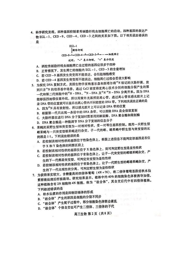 山东省济宁市第一中学2020届高三考前冲刺测试（一）生物试题（扫描版）第2页