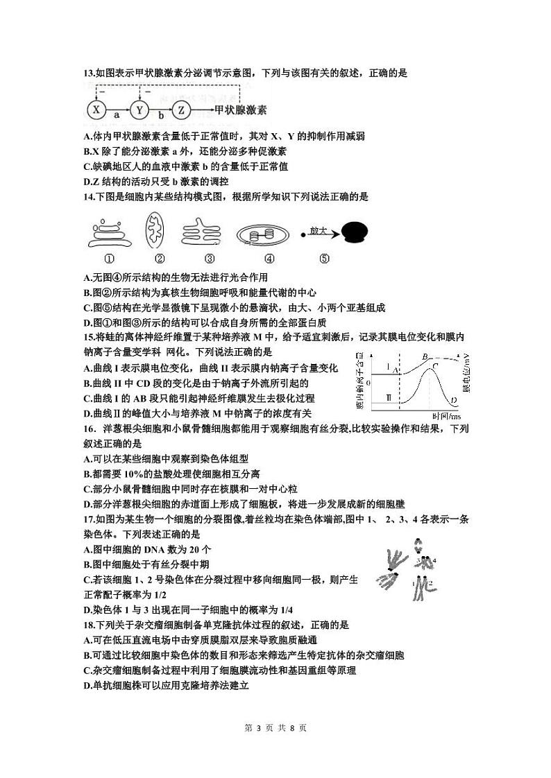 2020宁波镇海中学高三6月考前模拟生物试题（PDF可编辑版）PDF版含答案第3页