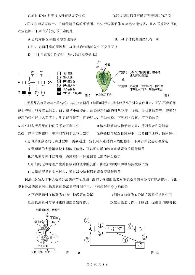 2020北京海淀区高三下学期查漏补缺生物试题PDF版缺答案02