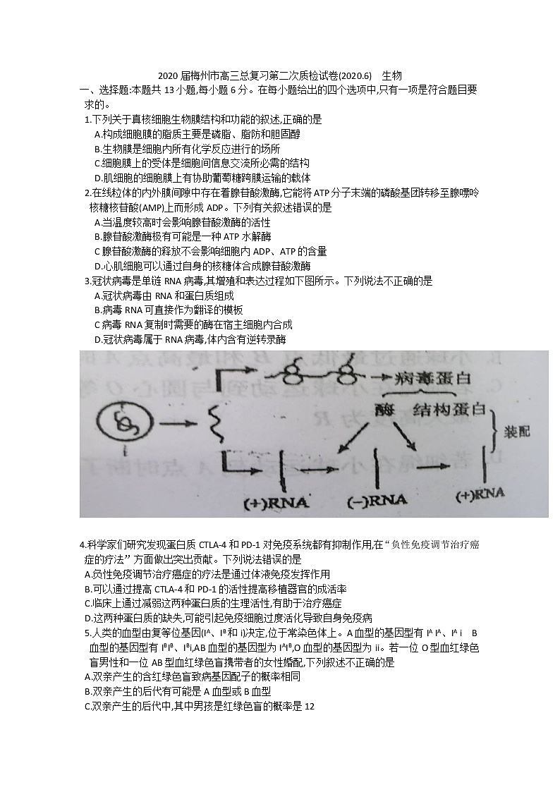 2020梅州高三6月总复习质检（二）生物试题含答案第1页