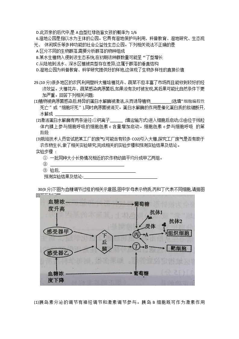 2020梅州高三6月总复习质检（二）生物试题含答案第2页